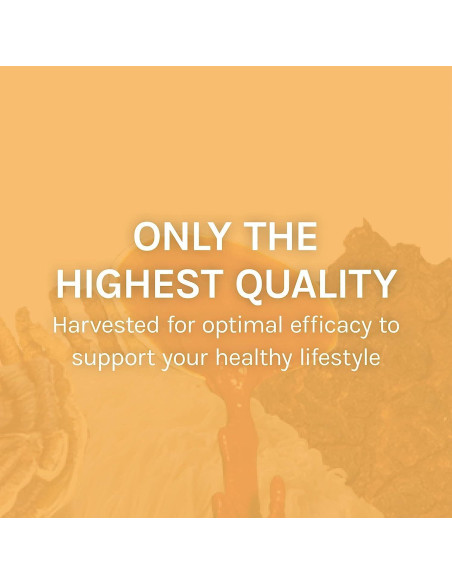 Cápsulas de Hongo Mesima Host Defense - 60 Unidades