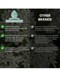 Polvo de Raíz de Dong Quai Holistic Bin 80g - Ginseng Femenino 2