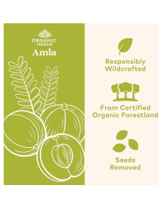 Polvo de Amla Orgánico Organic India - 450g, Superalimento Vegano 2