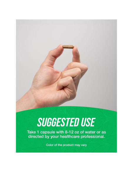 Cápsulas de Extracto de Amla BulkSupplements 1000mg 180 Unidades