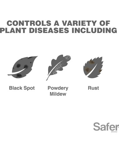 Concentrado de Aceite de Neem Safer 473 ml - Insecticida y Fungicida