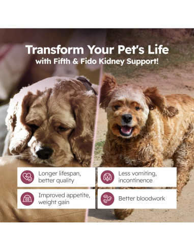 Gotas de Cardo Lechoso Fifth & Fido 59 ml - Suplemento Hepático