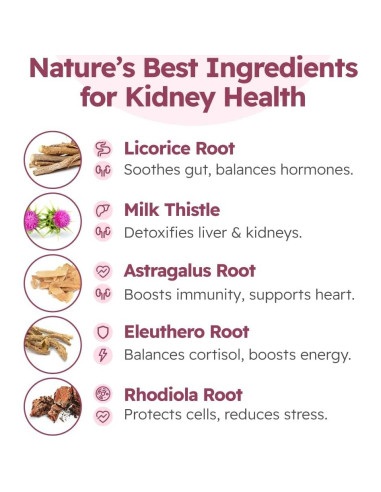 Gotas de Cardo Lechoso Fifth & Fido 59 ml - Suplemento Hepático