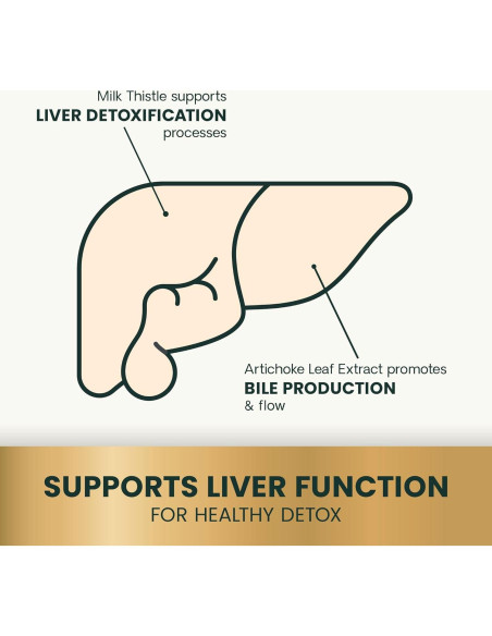 Suplemento Hepático VetriScience para Perros - 60 Masticables de Pollo Suplemento Hepático VetriScience para Perros - 60 Masticables de Pollo