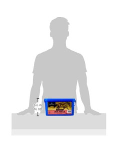 Dodson & Horrell Cardo Mariano para Caballos 500 g 2