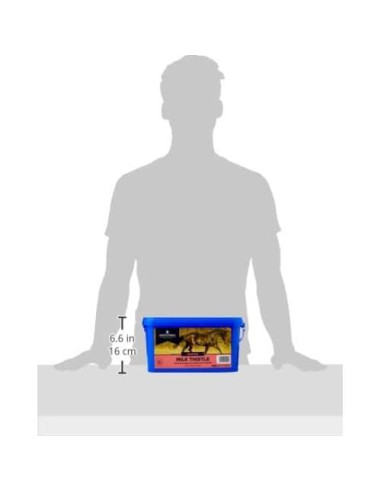 Dodson & Horrell Cardo Mariano para Caballos 500 g