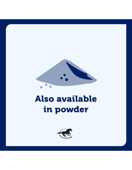 Suplemento Articular Uckele Garra del Diablo Plus 0.91 kg Suplemento Articular Uckele Garra del Diablo Plus 0.91 kg