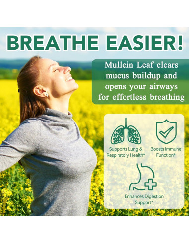 Gomitas de Hoja de Mullein WHLH 2000mg Veganas 60 Unidades