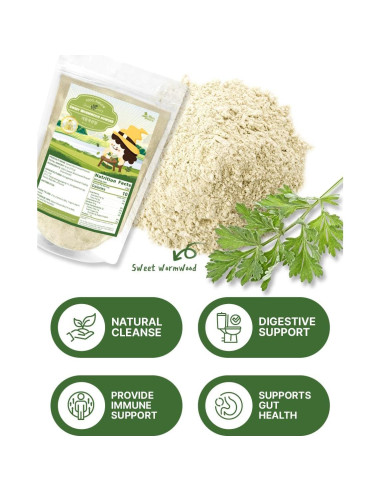 Polvo de Artemisia Annua 100% Puro Koreano 170g