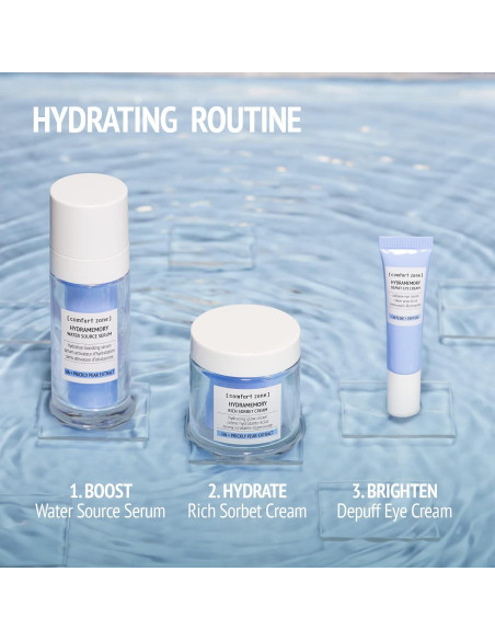 Crema Sorbete Rica Hydramemory Zona de Confort 113g Hidratante Crema Sorbete Rica Hydramemory Zona de Confort 113g Hidratante