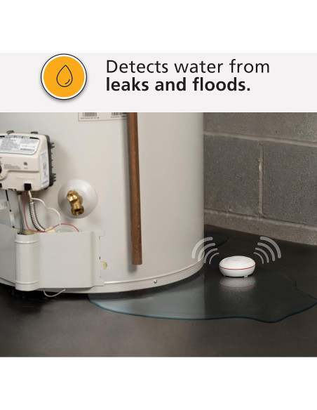 Detector de Fugas de Agua Kidde 60WLDR-W WiFi con Alarma