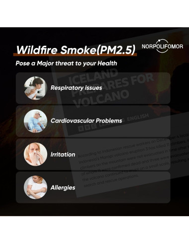 Monitor de Calidad del Aire Norpolifomor WP6933 - Detección PM2.5 y HCHO