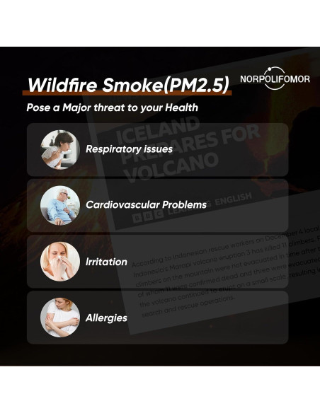 Monitor de Calidad del Aire Norpolifomor WP6933 - Detección PM2.5 y HCHO