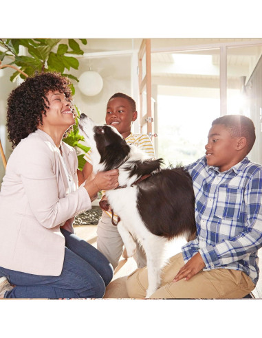 Filtro de Aire Filtrete 50.8x76.2x2.54 cm MPR 700 MERV 8