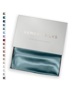 Funda de Almohada de Seda de Morera Colorado Home Queen Azul