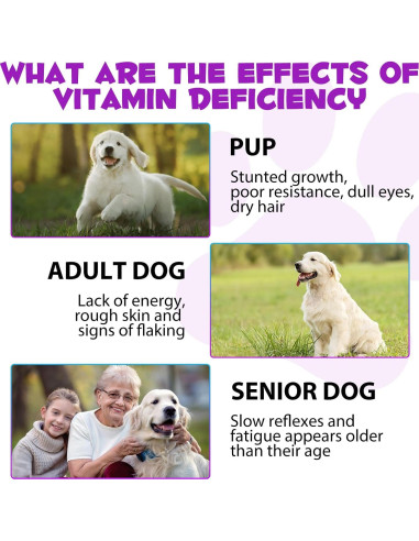 Gotas Multivitamínicas para Perros Lezizi 15 en 1 - Salud Articulaciones y Piel