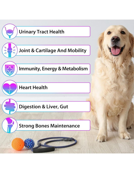 Gotas Multivitamínicas para Perros Lezizi 15 en 1 - Salud Articulaciones y Piel