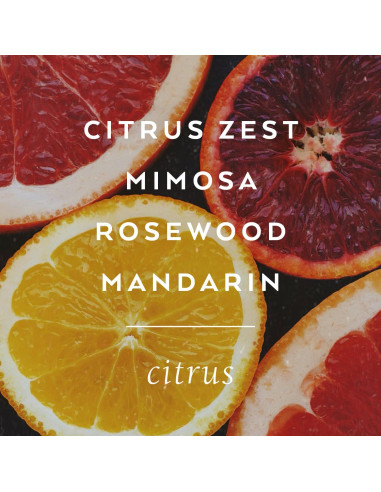 Vela Aromática TokyoMilk Absolutamente Fabulous 170g - Cera Soja y Coco