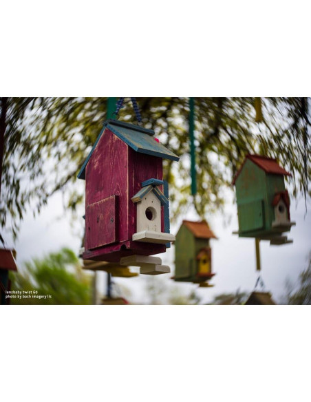 Lente Lensbaby Twist 60 mm f2.5 para Nikon F - Ópticas Doradas