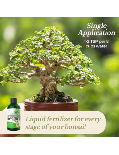 Fertilizante Líquido Bonsai Leaves and Soul 3-1-2 0.24 L 2