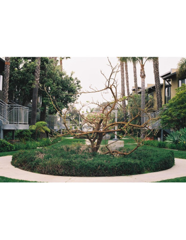 Película Negativa Color FUJIFILM 200 - 3 Rollos 36 Exposiciones