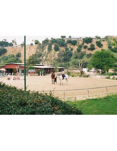 Película Negativa Color FUJIFILM 200 - 3 Rollos 36 Exposiciones