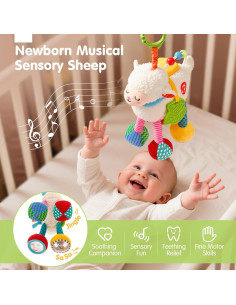 Juguete Sensorial para Bebés Hahaland Cordero Musical 0-6 Meses 2