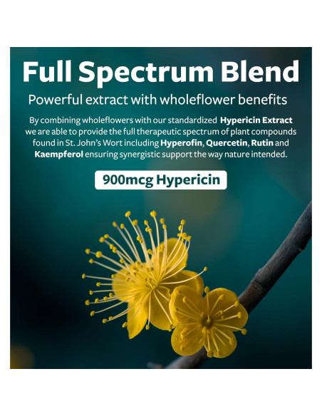 Hierba de San Juan Healths Harmony 60 Cápsulas 500mg Sin OGM