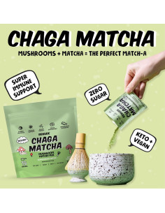Renude Chaga Matcha - Polvo de Hongo Chaga 30 Porciones 2