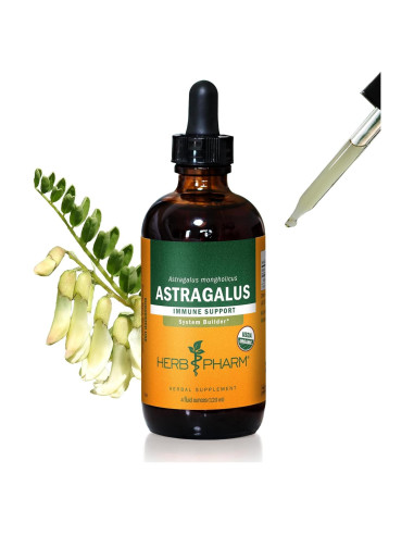 Extracto Líquido de Astrágalo Orgánico Herb Pharm 118.3 ml