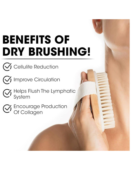 Cepillo Corporal Seco Opaz 2 Pack - Cerdas Naturales para Exfoliación Cepillo Corporal Seco Opaz 2 Pack - Cerdas Naturales para Exfoliación