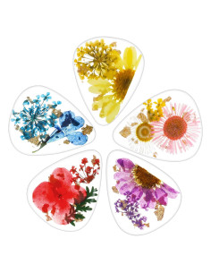 5 Piezas Púas de Guitarra Florales de Resina Coloridas