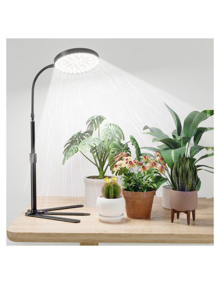 Luz de Crecimiento GooingTop 100W Espectro Completo 6000K