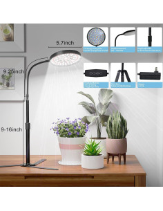 Luz de Crecimiento GooingTop 100W Espectro Completo 6000K 2