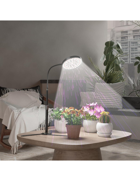 Luz de Crecimiento GooingTop 100W Espectro Completo 6000K