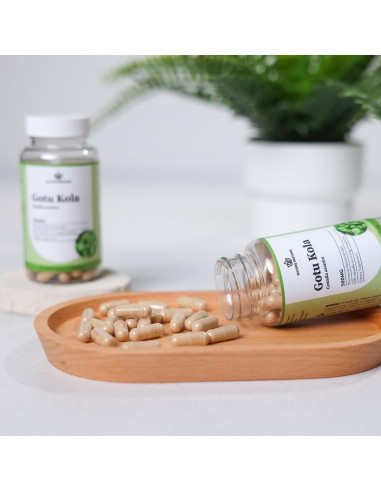 Suplemento Gotu Kola Nature Restore 90 Cápsulas 500mg Vegano