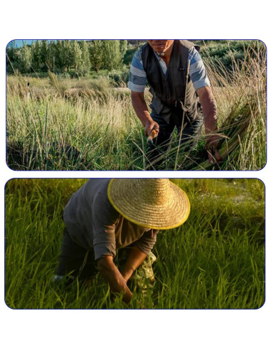 Hacha de Desbroce FOCMKEAS 26cm Acero de Manganeso