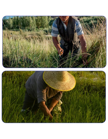 Hacha de Desbroce FOCMKEAS 26cm Acero de Manganeso