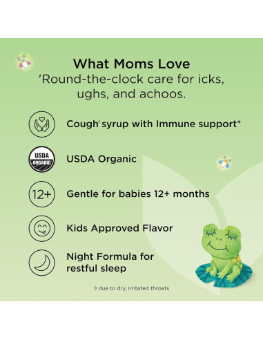 Jarabe orgánico para la tos Hyland's Baby 60 ml nocturno