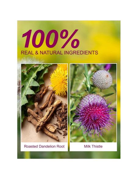 Té de Raíz de Diente de León Tostada TeeLux 100 Cuentos