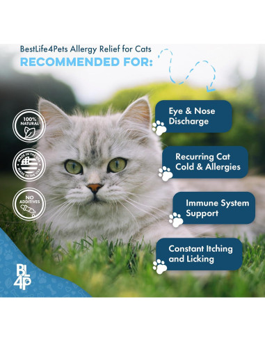 Suplemento Natural para Gatos BestLife4Pets - Alivio Alergias y Soporte Inmunológico - 400 Pastillas