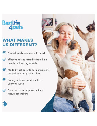 Suplemento Natural para Gatos BestLife4Pets - Alivio Alergias y Soporte Inmunológico - 400 Pastillas