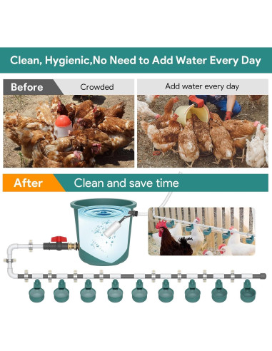 Sistema Automático de Bebedero para Pollos CHAMUTY con 9 Tazas