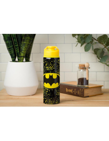 Botella de Agua Acero Inoxidable Silver Buffalo Batman 740ml