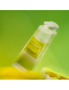 Crema de Manos L'OCCITANE 29.57 ml Nutre y Protege Secas 2