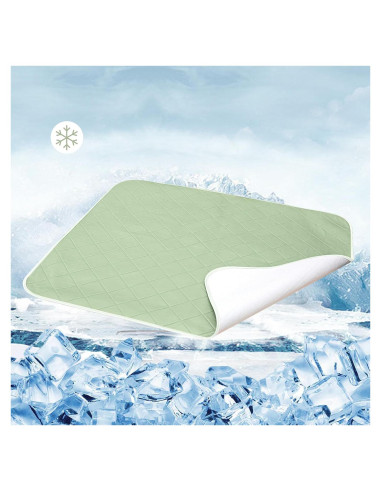 Almohadilla de Cama Impermeable Reidio 85x90cm Verde