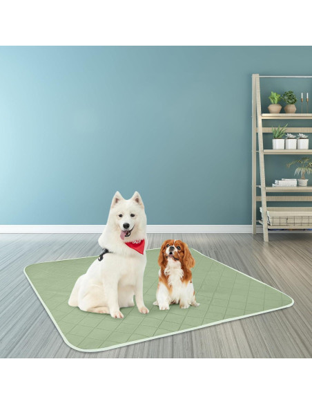 Almohadilla de Cama Impermeable Reidio 85x90cm Verde