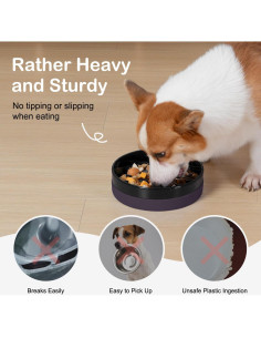 Cuenco de Cerámica para Perros Sted 20.32 cm Antideslizante 2
