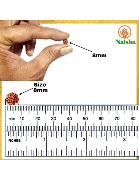 Mala de Rudraksha 108+1 Cuentas NAISHA 8 mm para Meditación