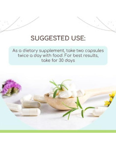 Suplemento Herbal Orgánico HerbEra Bardana 60 Cápsulas 2